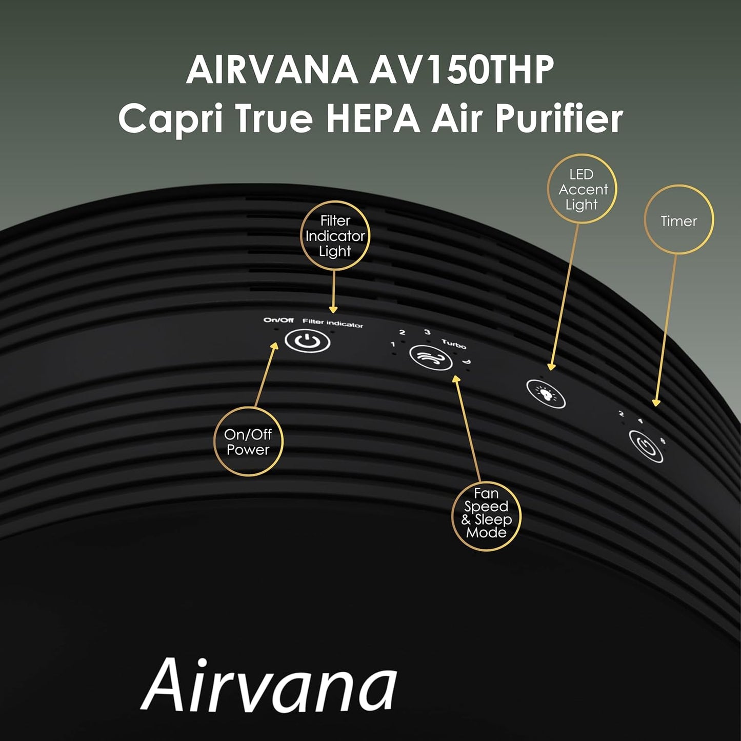 AV150AP Tabletop Air Purifier, Sage