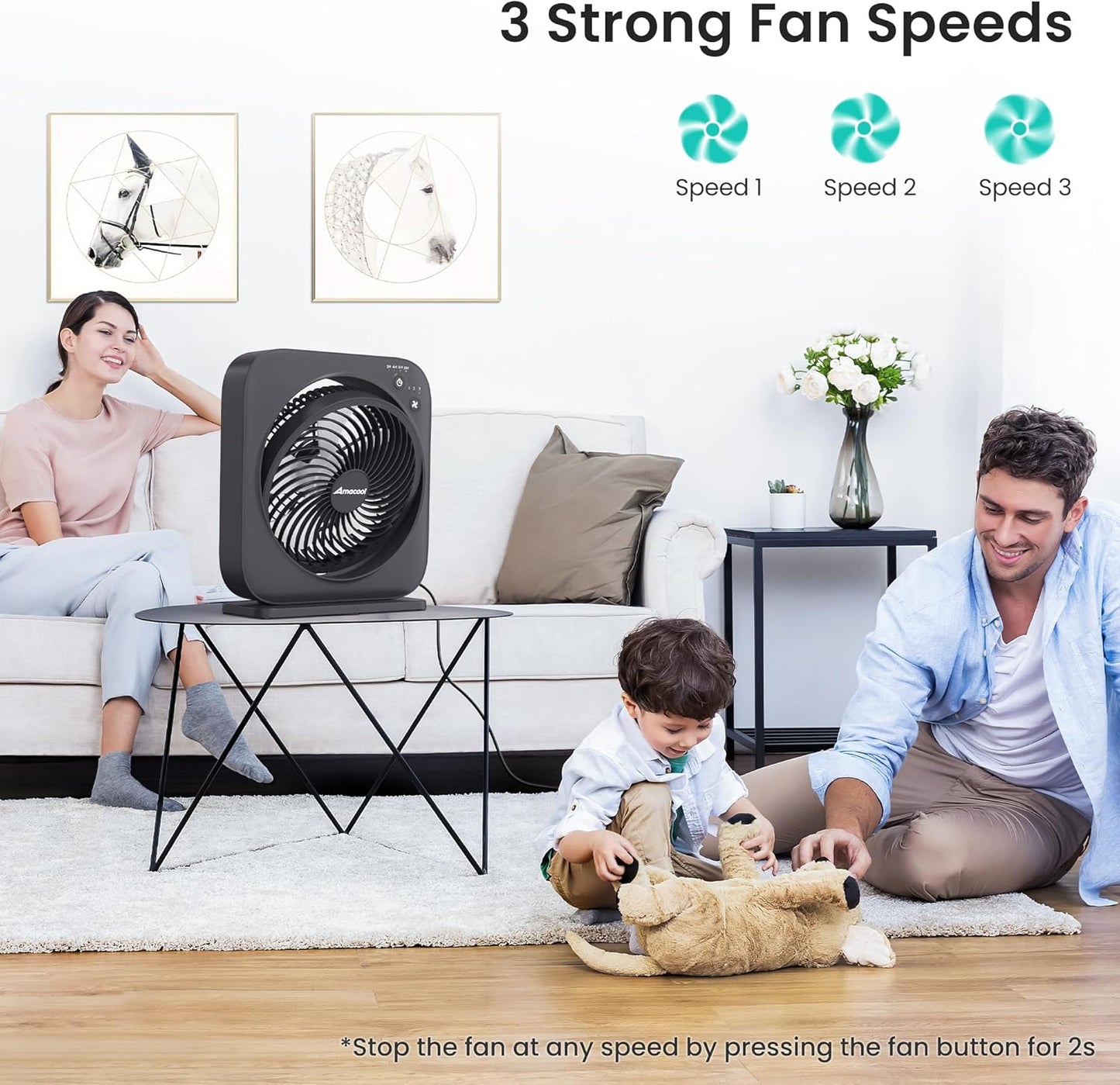 AMACOOL Table Fan, 12 inch Box Fan with 3 Adjustable Speeds & 8HRS Timer, 270° Pivoting Quiet Air Circulator, Desktop Fan for Bedroom Bathroom Kitchen Office, AC Adapter Included-Black
